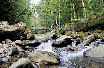 Buchberger Leite zum Wandern im Bayerischen Wald.